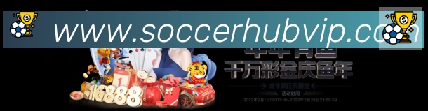 体育数据展示